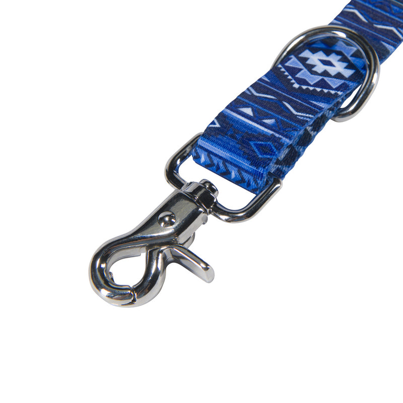 ombre aztec pet leash