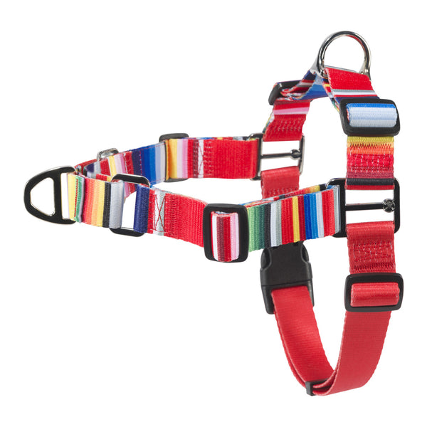 right side view of the tijuana serape pet walking harness