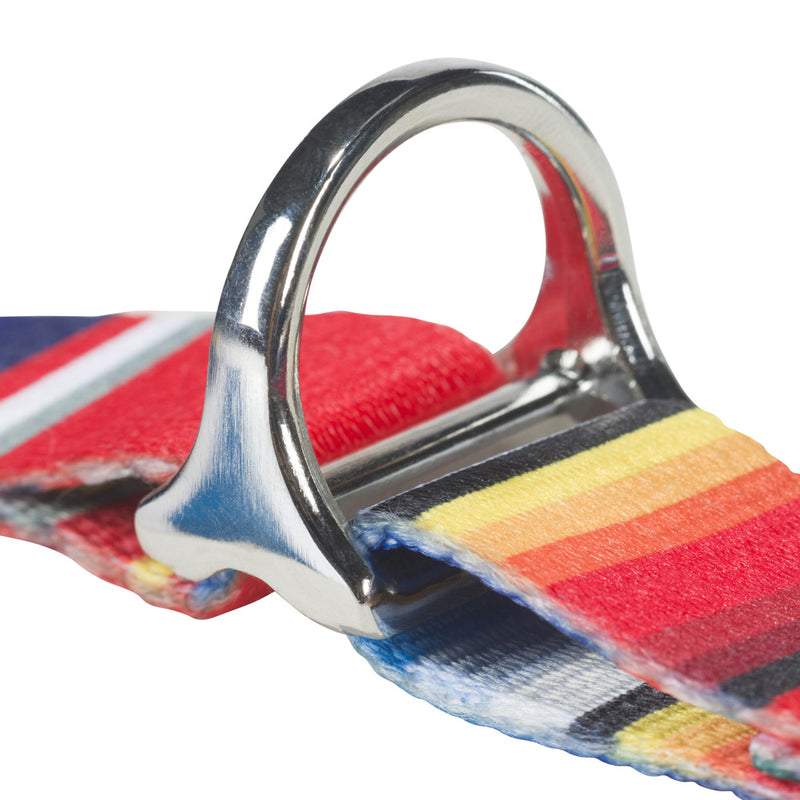 clip ring on the tijuana serape pet walking harness