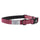 Hooey Mercantile Collar Burgundy/Black